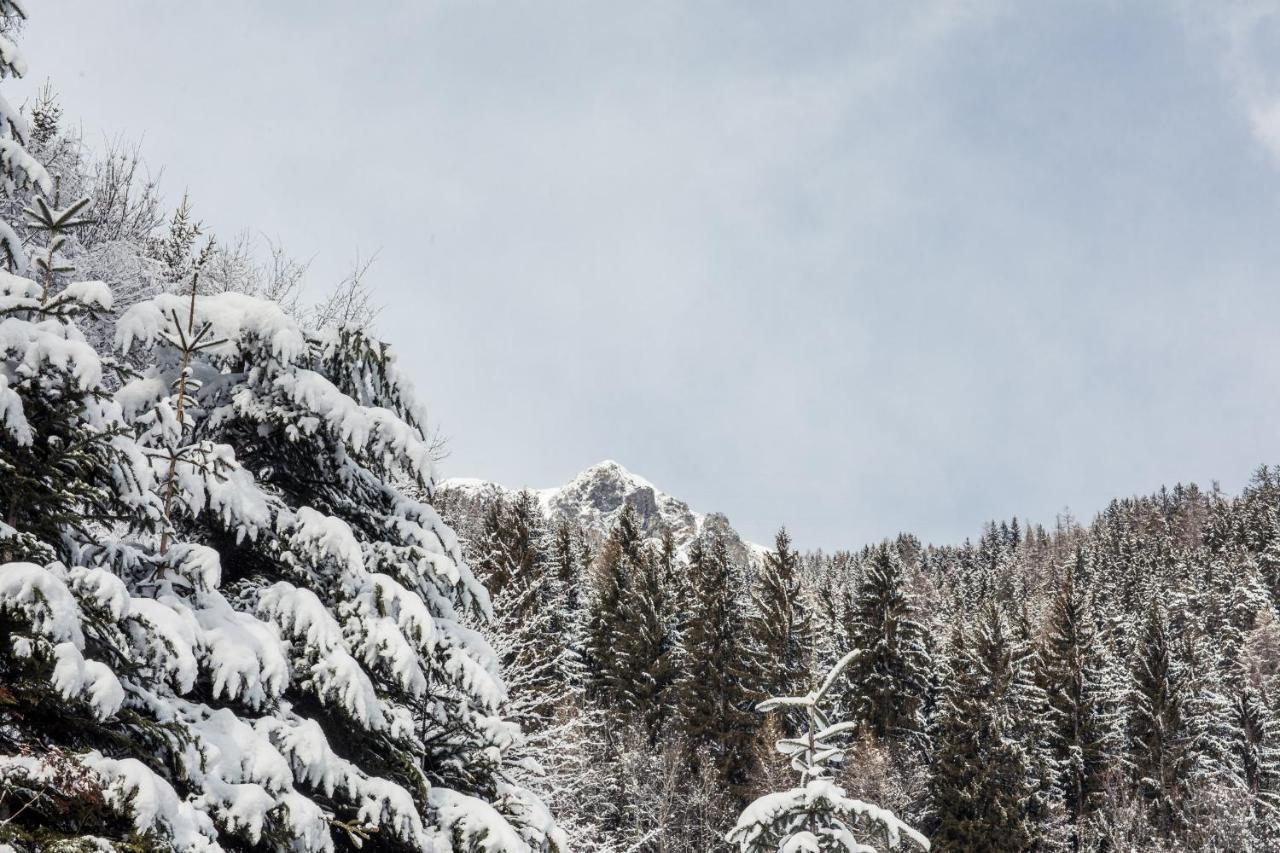 Alpenhof Hotel 3*