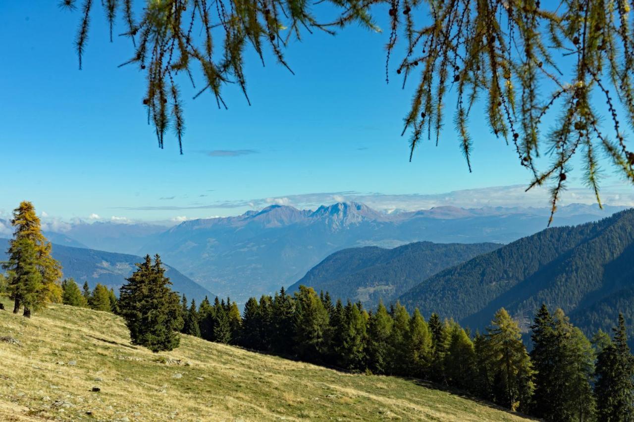Alpenhof Ultimo